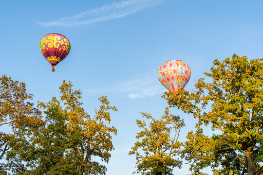 View of two colorful hot air balloons floating above the treetops against a clear blue sky in Valmiera, Latvia.
