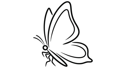 Obraz premium Line art butterfly illustration depicts a delicate insect with spread wings
