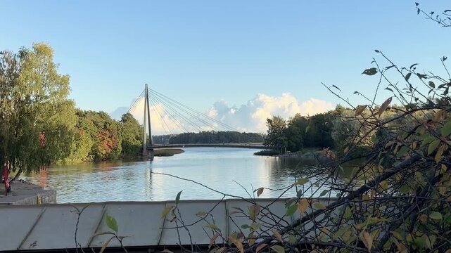 Dry Grasses in the Foreground of a Bridge and Sea View