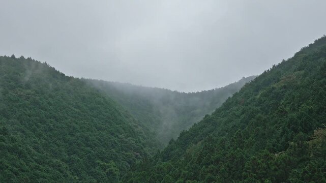 山の森が霧（ガス）でおおわれていく様子の微速度撮影