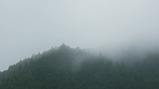 山の森が霧（ガス）でおおわれていく様子の微速度撮影