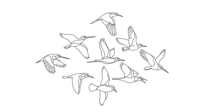 Kingfisher birds flying in a flock line art illustration