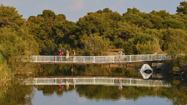 People walking over a bridge with a perfect reflection in the water, surrounded by trees, Strofilia biotope, wetlands, Kalogria, Peloponnese, Greece