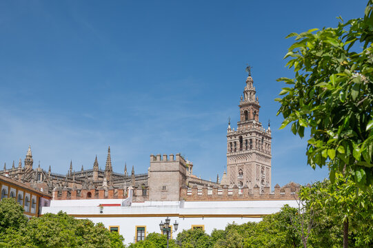 The Seville Cathedral of the Saint Mary of the Sea on a sunny day, one of Spain's most important landmarks