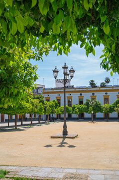 The public square Patio de Banderas, located inside the walls of the Alcazar of Seville, within the Santa Cruz district, Spain