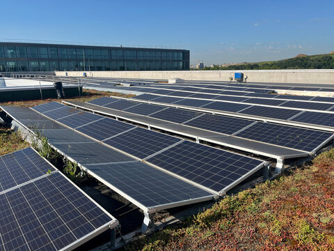 Solar panels installed on a rooftop with green vegetation surrounding them, for solar panel maintenance and cleaning content, renewable energy infrastructure upkeep