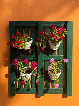 Potted flowers on a green wooden pallet against an orange
