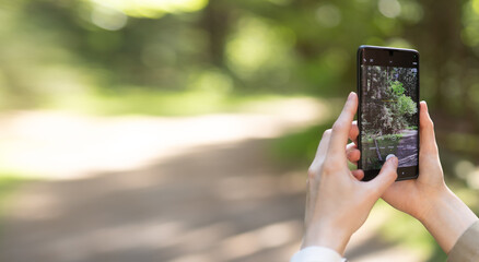 Obraz premium Person holding modern smartphone to shoot bright summer forest pathway scenery. Hand handles mobile phone camera for casual outdoor landscape photography.
