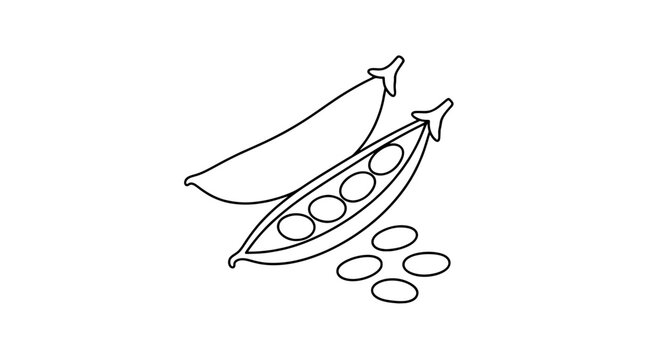 Snow pea pods with flat seeds hand-drawn vector icon illustration, minimalist black and white line art drawing of fresh pea pods with visible seeds, botanical sketch design