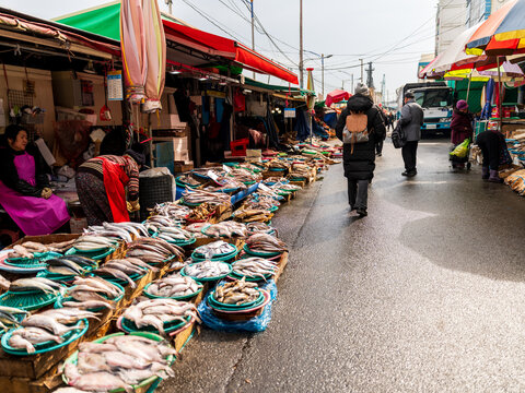 Busan, Busan, South Korea - 21 February 2026: View of the bustling Jagalchi Market with vendors selling fresh fish in baskets and people walking along the street under colorful market stalls.