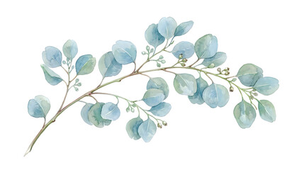 Obraz premium Watercolor painting of a delicate blue eucalyptus branch isolated on transparent background