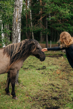 Woman Reaching Out to Gently Touch a Horse Forehead in a Forest