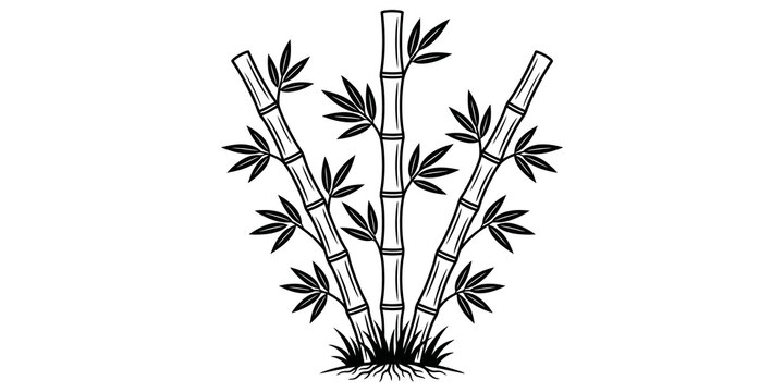 Black outline bamboo plant with leaves and roots on transparent background, asian nature illustration.