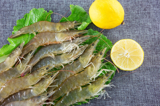Raw whole prawns arranged on fresh lettuce with whole and sliced lemon, prepared as fresh seafood ingredients for cooking.