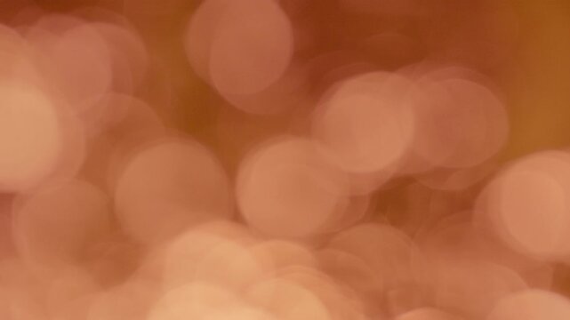 Flickering classic amber nature bokeh, tiny bright sun rays shining through foliage, elegant warm glowing backdrop.