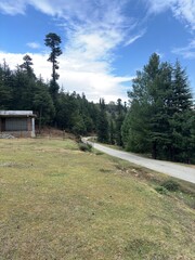 Fototapeta premium Road through mountains and forest in hajibal Kashmir