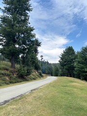 Naklejka premium Road through mountains and forest in hajibal Kashmir