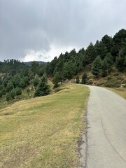 Fototapeta premium Road through mountains and forest in hajibal Kashmir