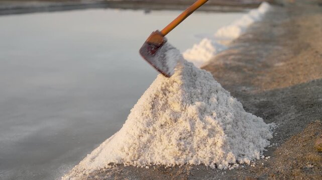 mineral sea salt harvesting with wooden rake tool in salt field  or evaporation pond, detail close-up shot, traditional mineral extraction in indonesia, southeast asia, slow motion