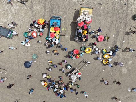 Anwara, Bangladesh - 12 September 2026: View of a bustling fish market with people gathering around trucks and baskets filled with fresh catch on a sandy ground in Anwara.