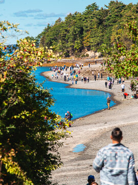 People Walking Bar Island Land Bridge at Low Tide Bar Harbor Maine