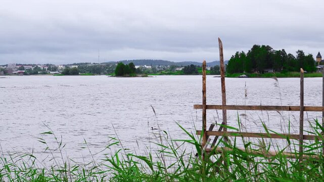 Seagull flying over Lake Ladoga with Sortavala town on horizon, reeds and wooden pier in foreground