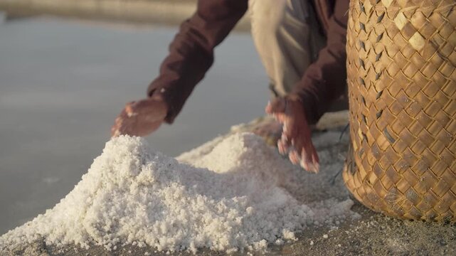 Hand harvested natural white mineral sea salt from evaporation pond or pan, farmer hands harvesting, indonesia, southeast asia, slow motion