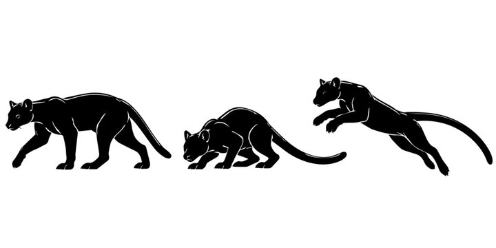  vector illustration of animals