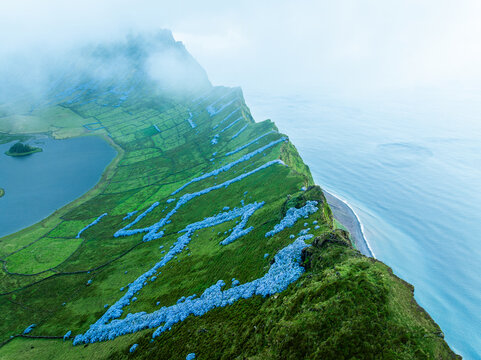 Aerial view of blooming blue hydrangeas on a steep ridge separating the ocean from Caldeirao volcanic crater lake under rolling fog on Corvo Island, Azores, Portugal