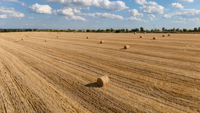 Aerial wide angle perspective of a harvested golden wheat field with round straw bales. Diagonal stubble texture, blue sky with white cumulus clouds, and bright summer countryside landscape.