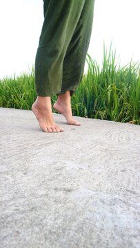 A person walking barefoot on a concrete path beside a green rice field.