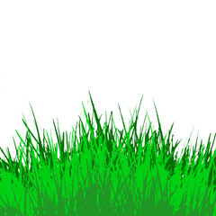 Fototapeta premium Green grass isolated for object design