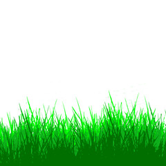 Obraz premium Green grass isolated for object design