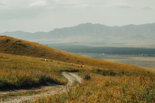 Narrow dirt path curving over rolling steppe hills leading towards distant mountains