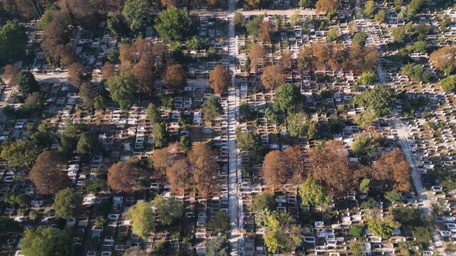 Aerial view of old cemetery with graves and autumn trees
