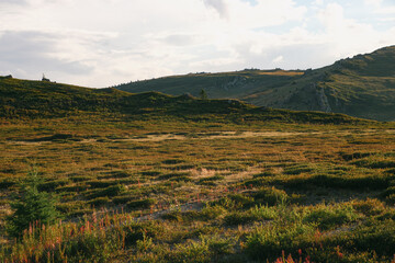 Fototapeta premium Vast alpine tundra with low vegetation under soft sunlit clouds