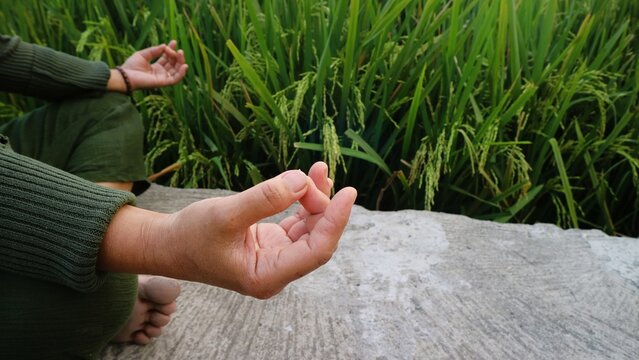 Person practicing meditation in a peaceful green rice field setting.