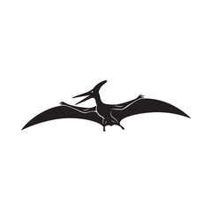Pterodactyl silhouette against a white background depicts a prehistoric flying reptile © MstLaila