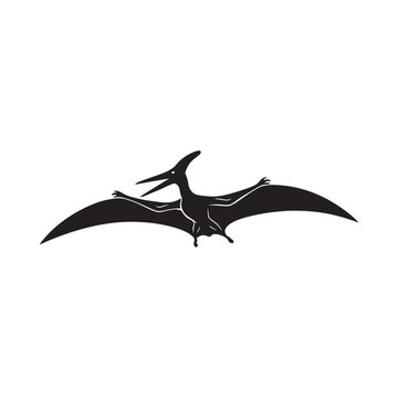 Pterodactyl silhouette against a white background depicts a prehistoric flying reptile