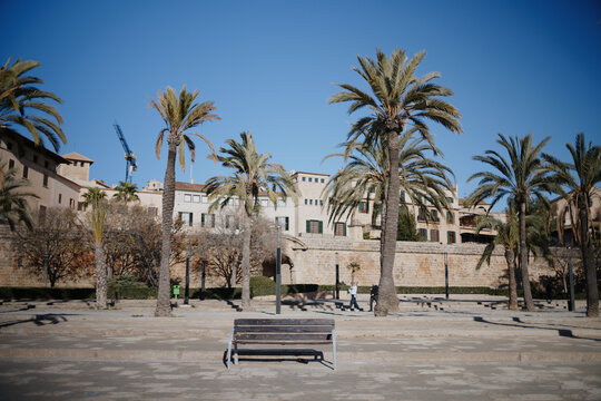 Palma de Mallorca, Spain - 04 January 2025: View of a wooden park bench in front of the historic stone walls of Parc de la Mar, framed by palm trees under a clear blue sky.