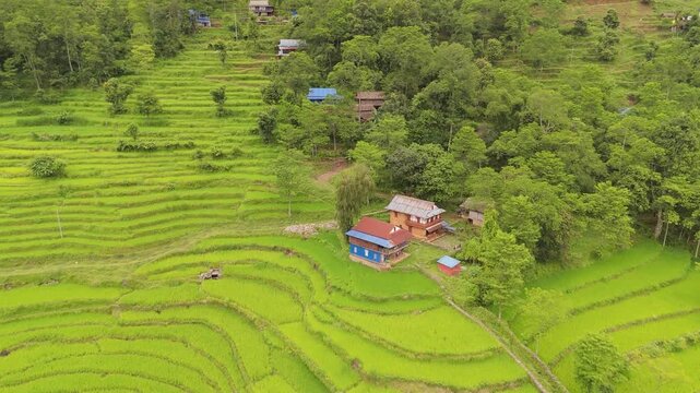 Aerial drone footage of a rural hamlet with a large orange roofed house amid rice terraces in Nepal