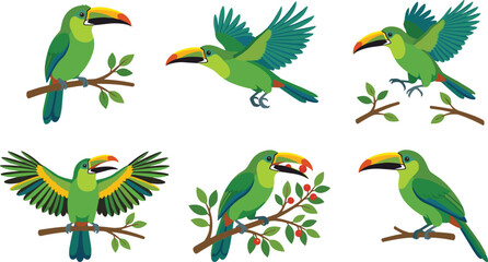 Fototapeta premium Green toucans perched and flying in various poses on branches, vibrant nature illustrations