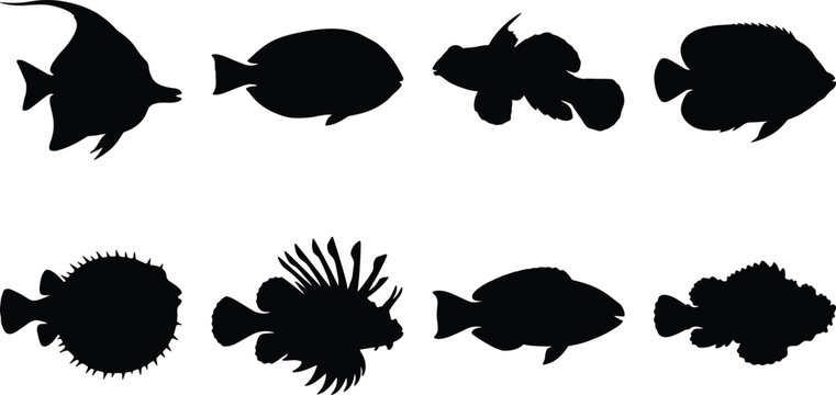 Collection of black tropical reef fish silhouettes featuring marine life species isolated on white background