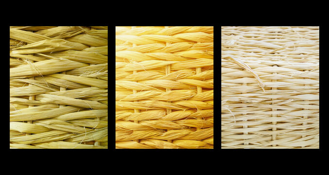 Raffia triptych background, natural woven raffia straw texture, set of 3 summer panels side by side in natural light with copy space for banner, poster and interior design