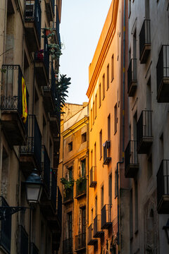Barcelona, Spain - 01 December 2025: View of a narrow street in the Gothic Quarter with tall historic buildings, wrought iron balconies, and warm sunlight hitting the facades.
