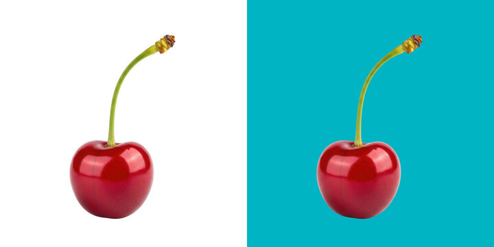 Fresh red cherries with stems transparent png