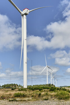 Thisted, Denmark - 11 August 2026: View of the Oesterild test center featuring a row of large offshore wind turbines set against a blue sky with scattered clouds and green vegetation.