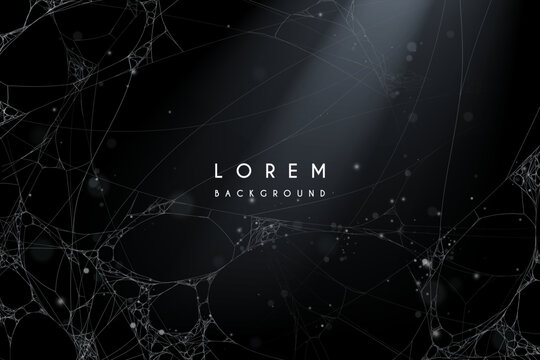 Spider web with light effect on black background