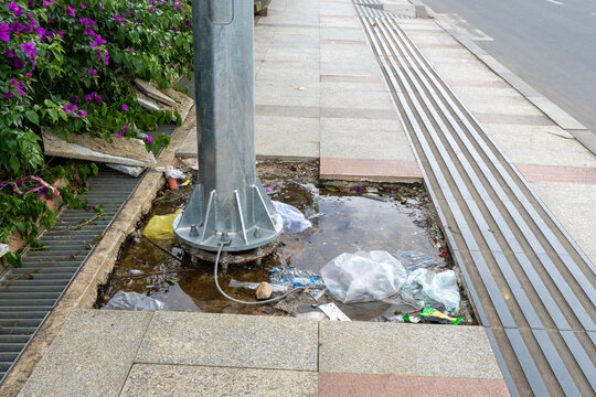 Streetside puddle with visible trash and flowers
