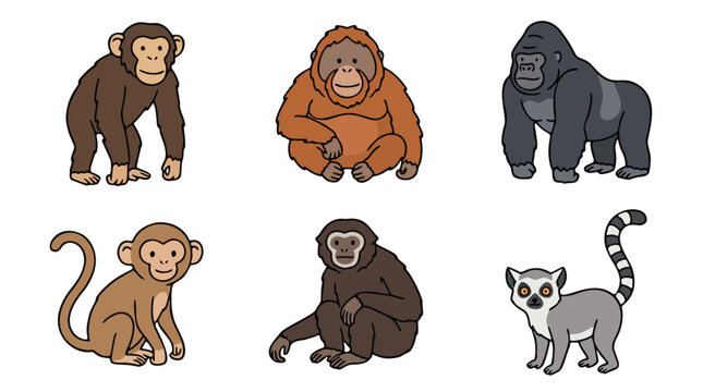 Hand drawn primate ape monkey and lemur collection for zoo flyer